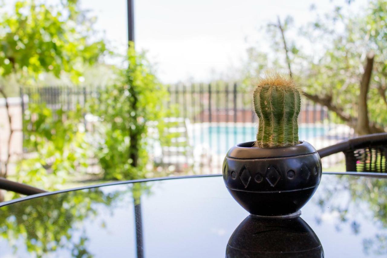 Haus Holzapfel Hotel Beaufort West Ngoại thất bức ảnh
